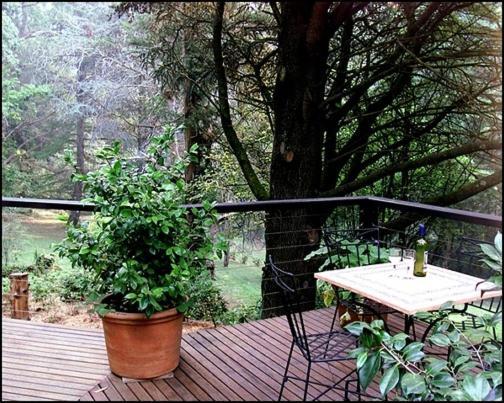 Lochiel Luxury Accommodation Olinda Kültér fotó